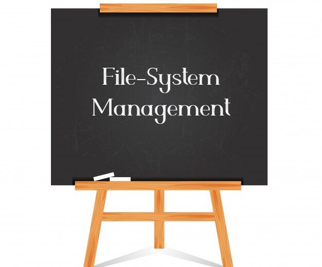 File-System Management
