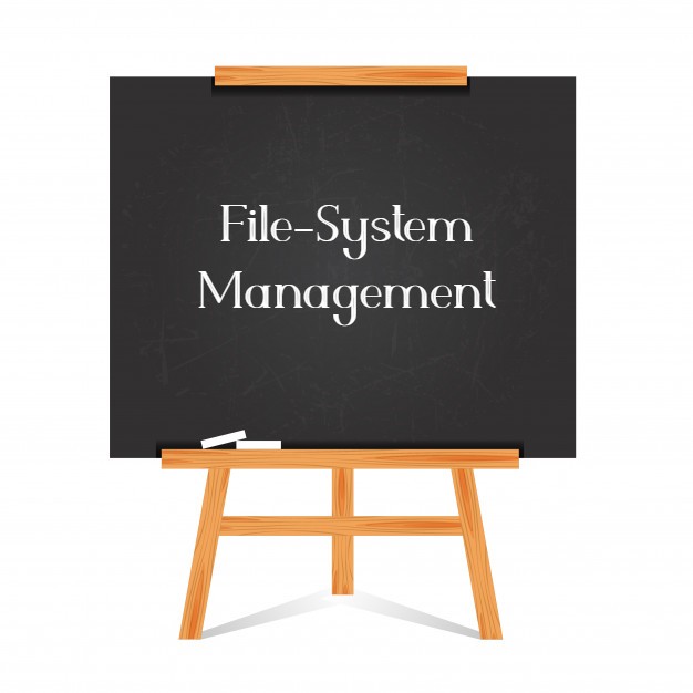 File-System Management
