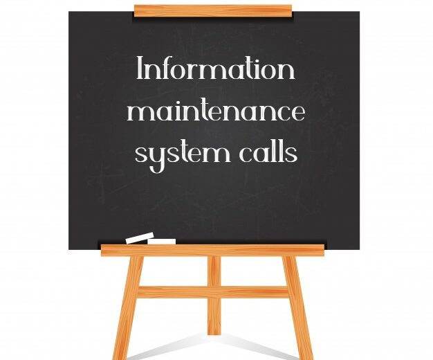 Information maintenance system calls
