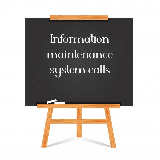 Information maintenance system calls
