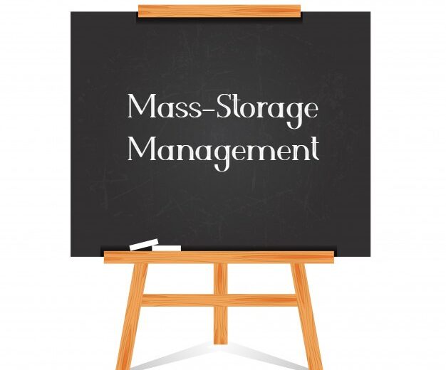Mass-Storage Management