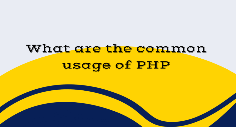 What are the common usage of PHP